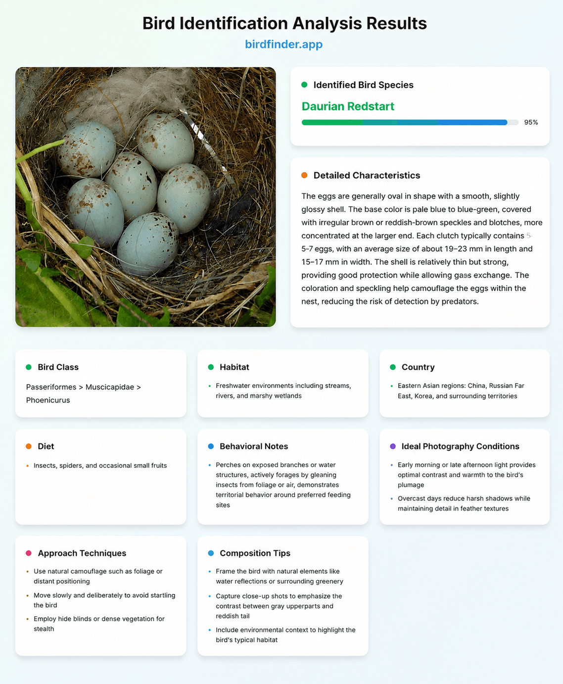 egg identification result