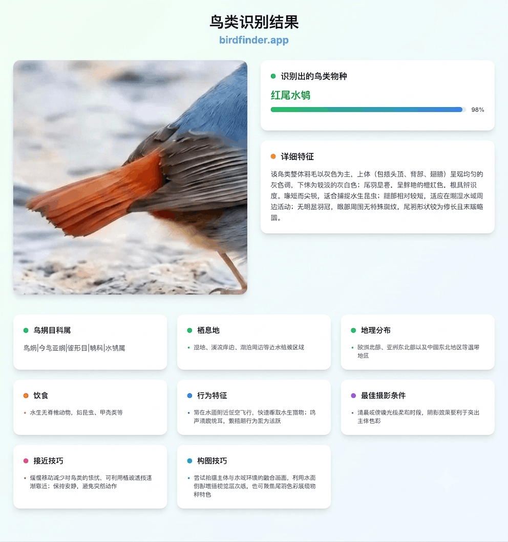 feather identification result